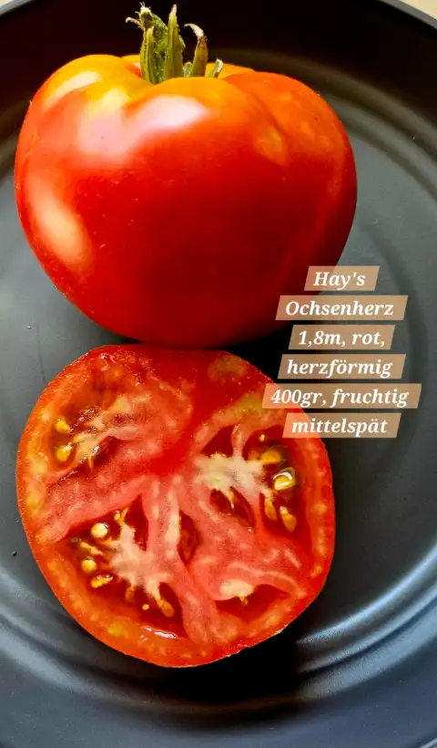 Tomaten: Hay