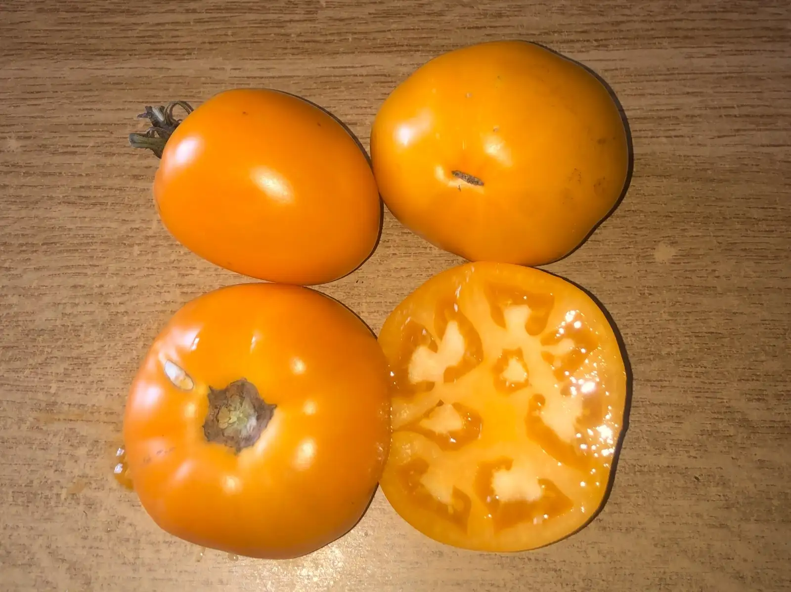 Tomaten: Hazel Gold