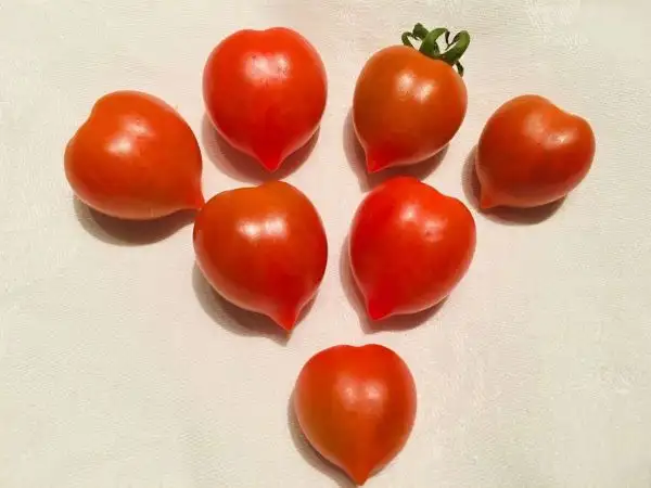 Tomaten: Heartbreaker