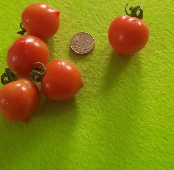 Tomaten: Heartbreaker Vita Tomate