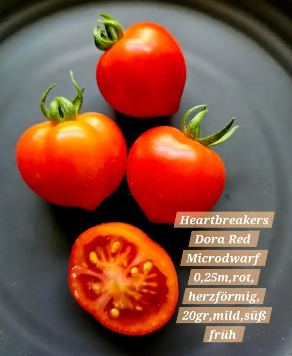 Tomaten: Heartbreakers Dora Red