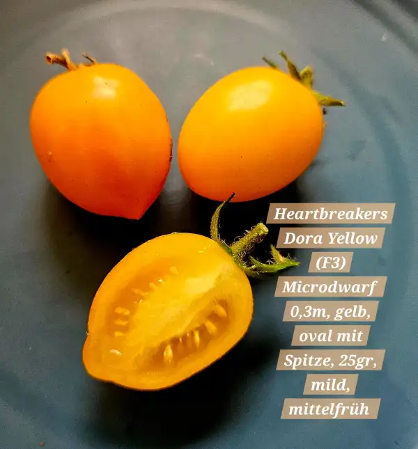 Tomaten: Heartbreakers Dora Yellow