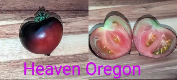 Tomaten: Heaven Oregon