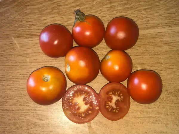 Tomaten: HEINEMANNS VORTREFFLICHE