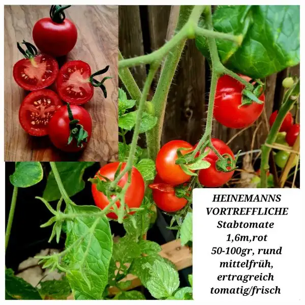 Tomaten: HEINEMANNS VORTREFFLICHE