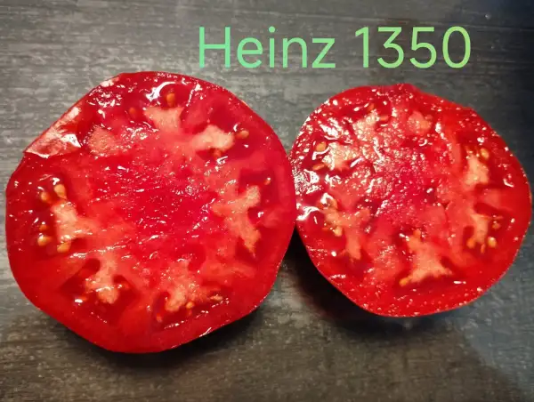Tomaten: Heinz 1350