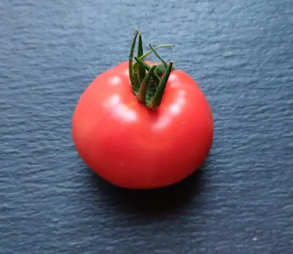 Tomaten: Heinz 1439