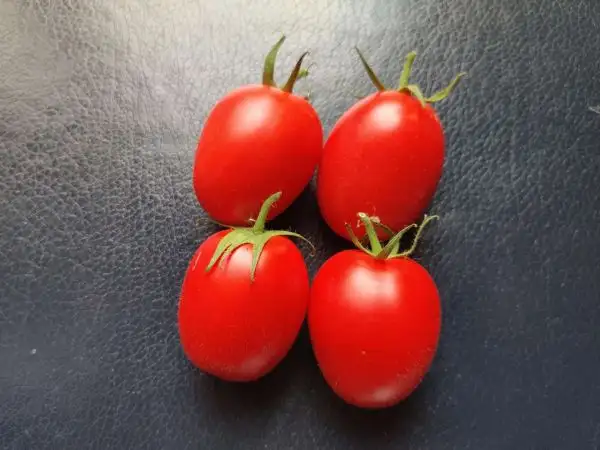 Tomaten: Heinz 3402