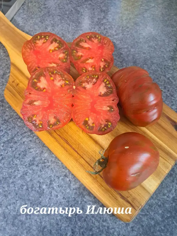 Tomaten: Held Iljuscha