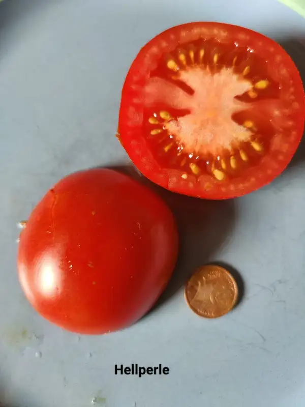 Tomaten: Hellperle