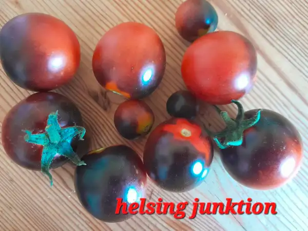 Tomaten: Helsing Junktion Blues