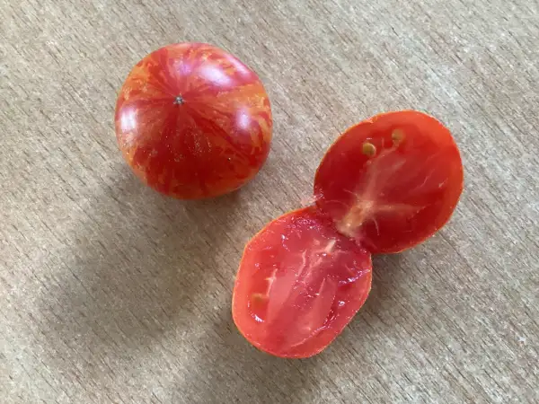 Tomaten: Henry Harrington