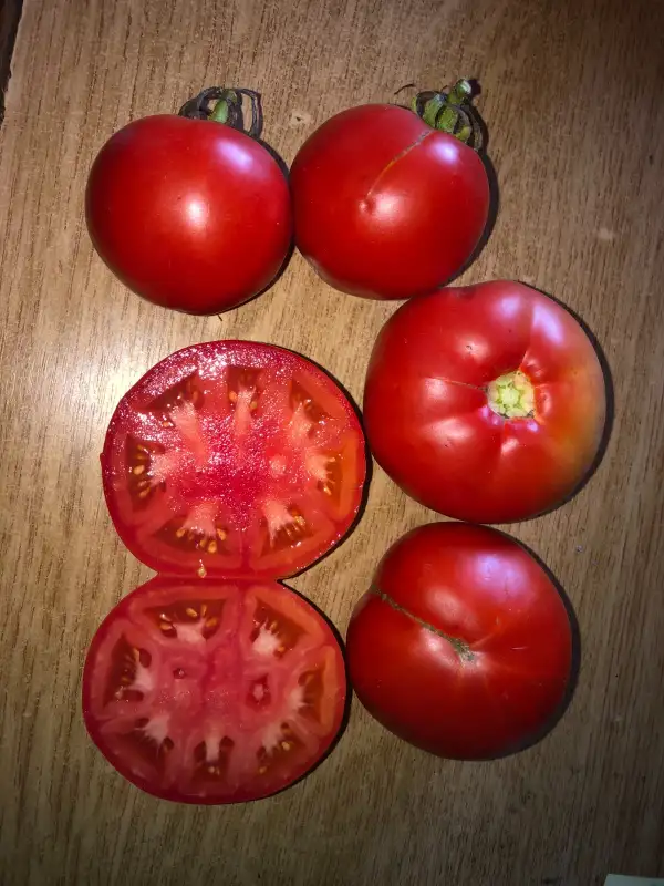 Tomaten: Herencia Gigante Rojo de L. S. de Molina n°2