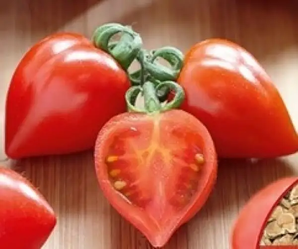 Tomaten: Herztomate (Cherry)