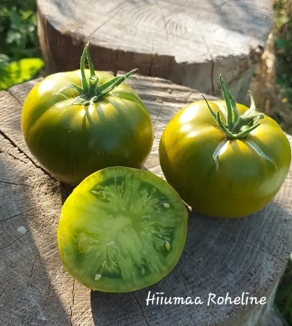 Tomaten: Hiiumaa Roheline