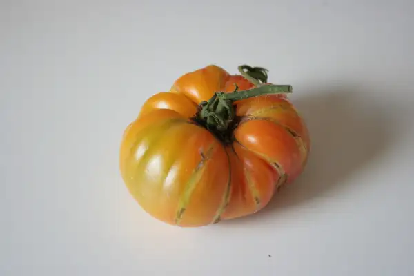 Tomaten: Hillbilly