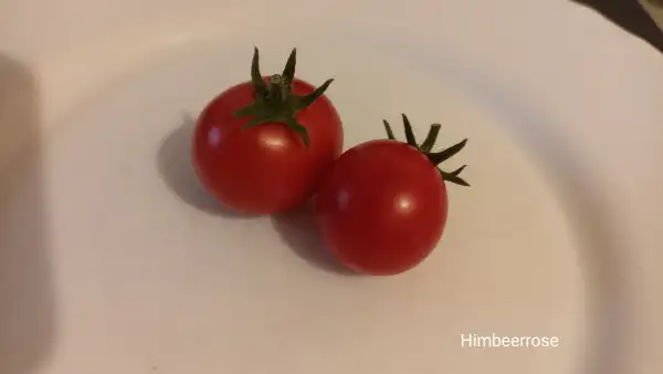 Tomaten: Himbeerrose
