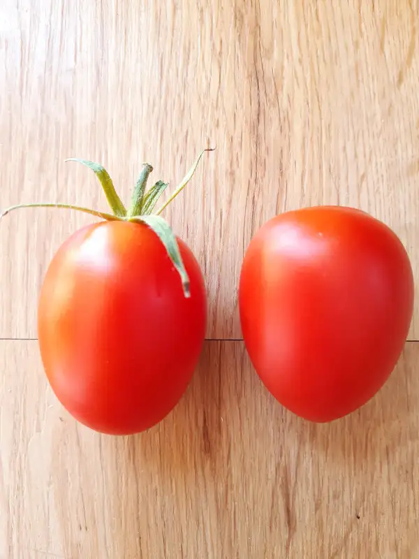 Tomaten: Himmelsstürmer