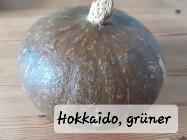 andere Gemüse: Hokkaido - grün