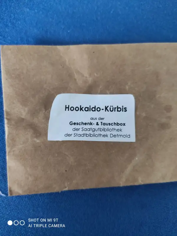 Kürbisse: Hokkaido