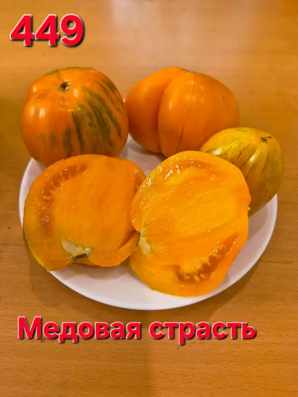 Tomaten: Honey passion