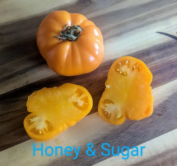 Tomaten: Honey&Sugar