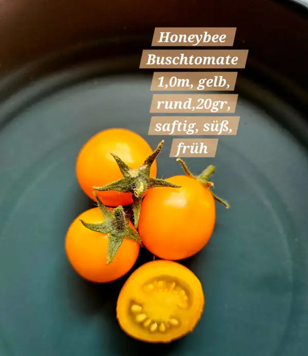 Tomaten: Honeybee