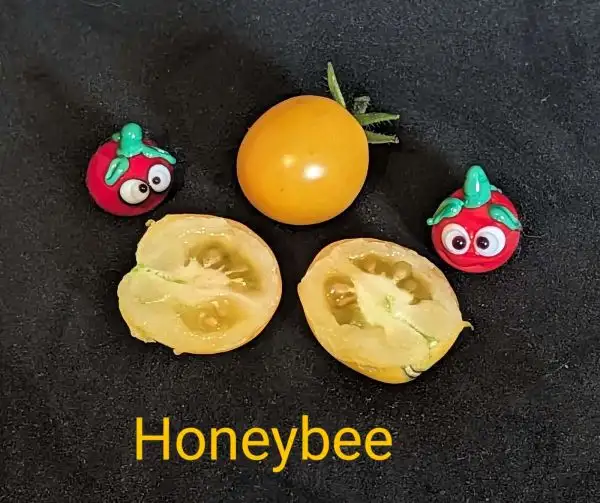 Tomaten: Honeybee