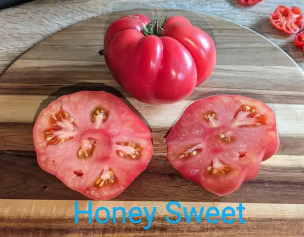 Tomaten: Honeysweet