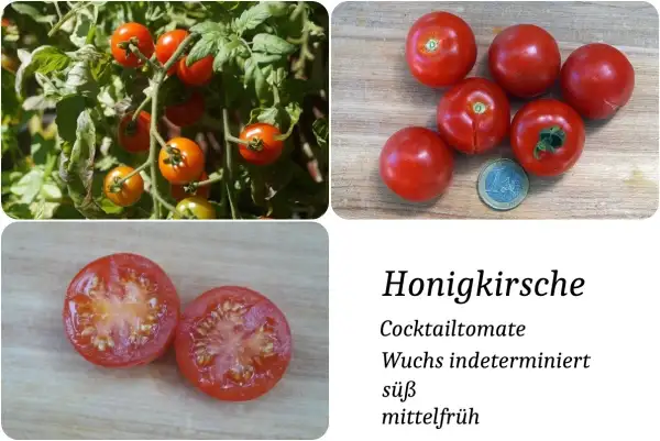 Tomaten: Honigkirsche