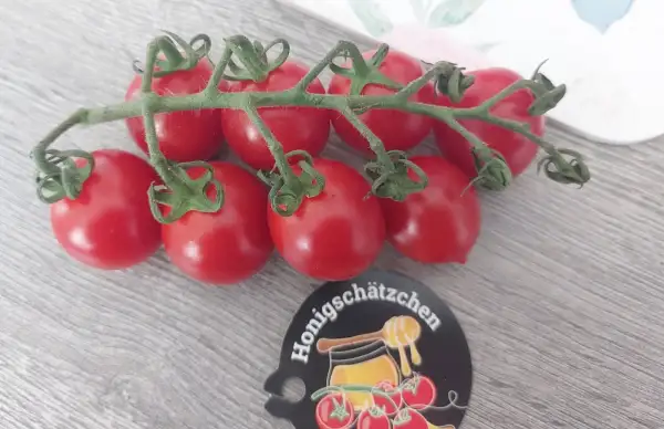 Tomaten: Honigschätzchen