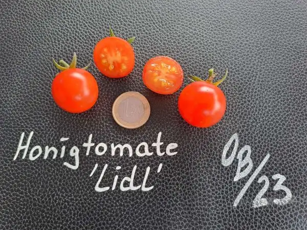 Tomaten: Honigtomate 