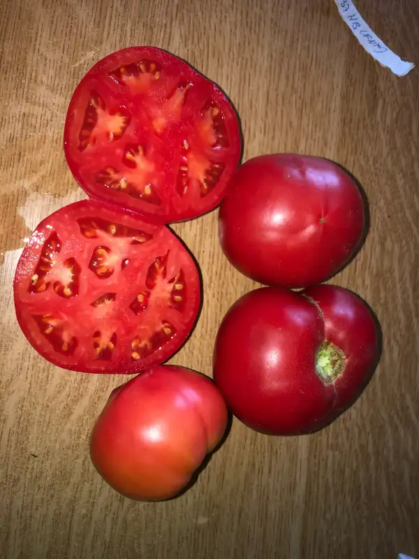 Tomaten: Hoskins-Barger