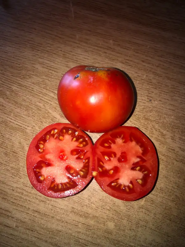 Tomaten: Hostezene