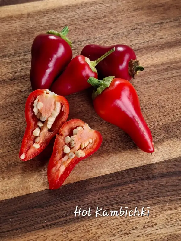 Chili / Paprika: Hot Kambichki (Luti Kambički)