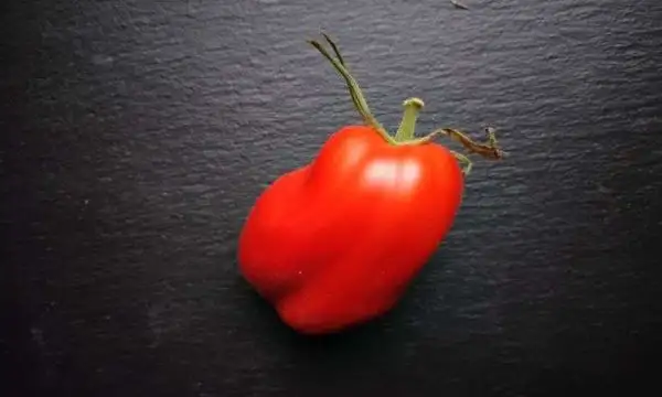 Tomaten: Howard German