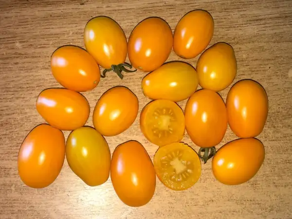 Tomaten: Hssiao Son Hung Shih