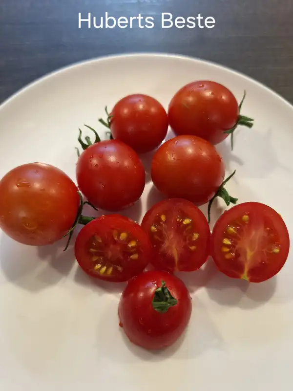 Tomaten: Huberts Beste