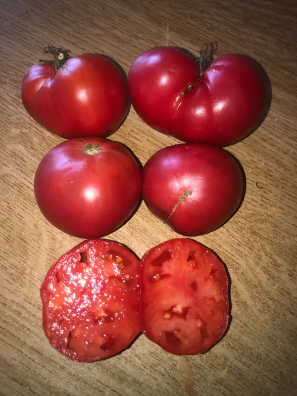 Tomaten: Hungarian