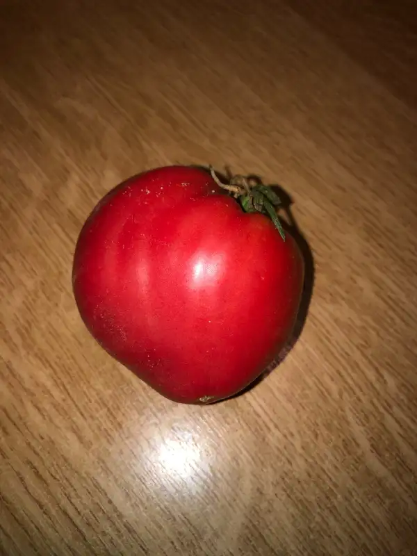 Tomaten: Hungarian Pink Heart