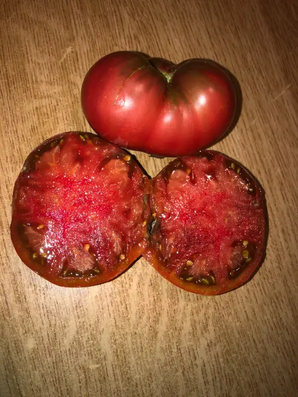 Tomaten: Hunk Papa