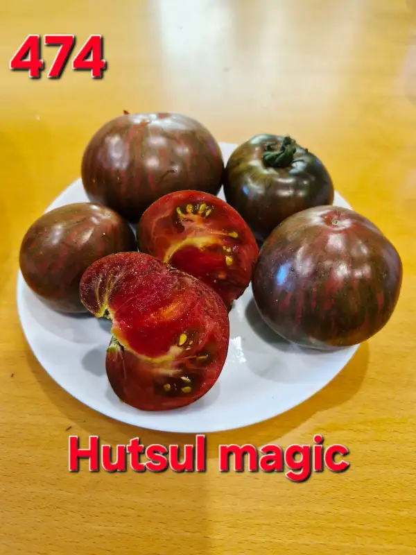 Tomaten: Hutsul magic