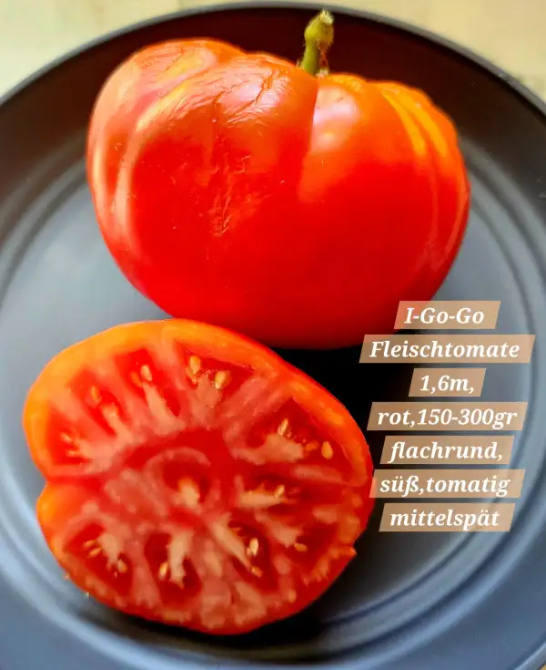 Tomaten: I-Go-Go