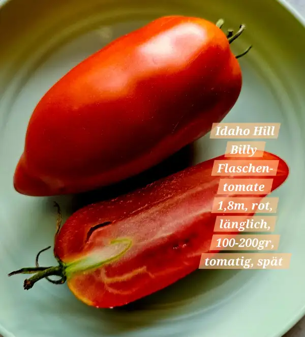 Tomaten: Idaho Hill Billy