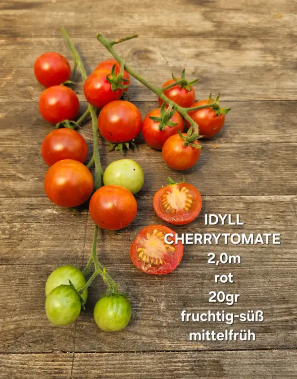 Tomaten: Idyll