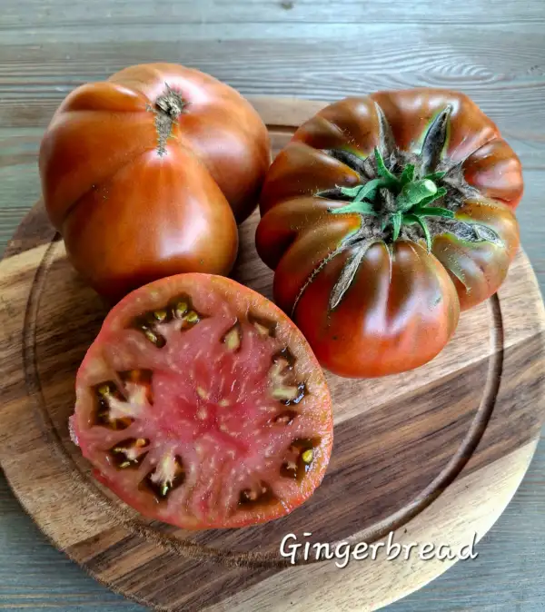 Tomaten: Imbirnyy Pryanyk