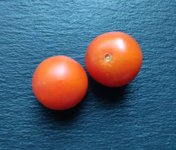 Tomaten: Impuls