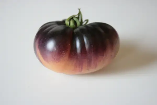 Tomaten: Indigo blue beauty