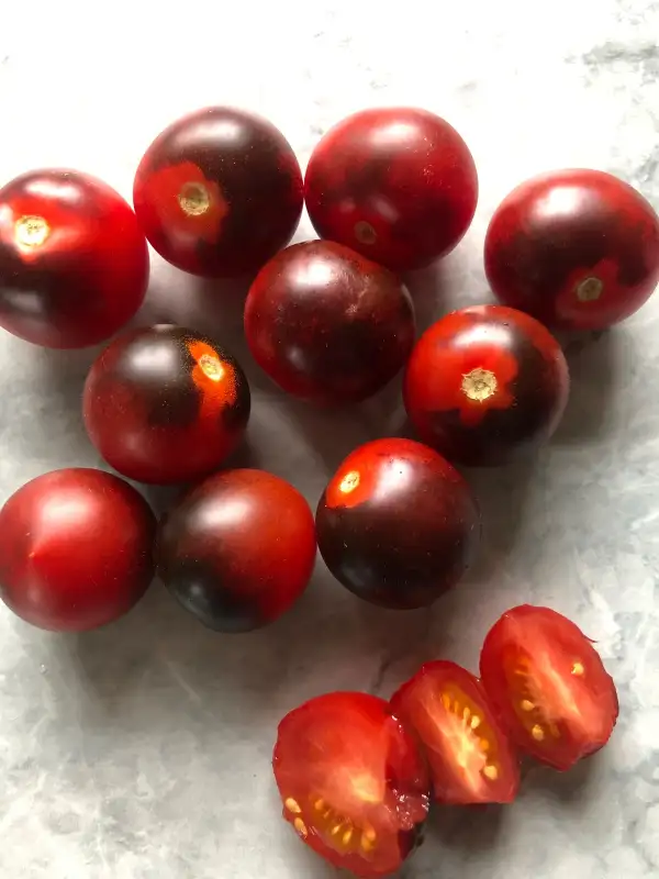Tomaten: Indigo Cherry Drops