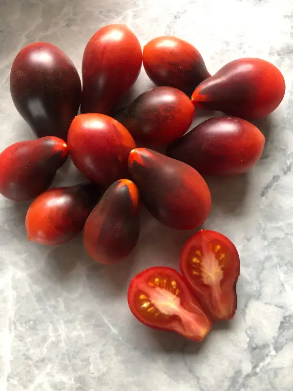 Tomaten: Indigo Pear Dops Pink